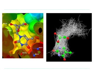 Molecular docking and structure based Virtual screening | PPT