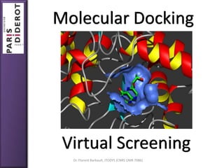 Dr. Florent Barbault, ITODYS (CNRS UMR 7086)
Molecular Docking
Virtual Screening
 
