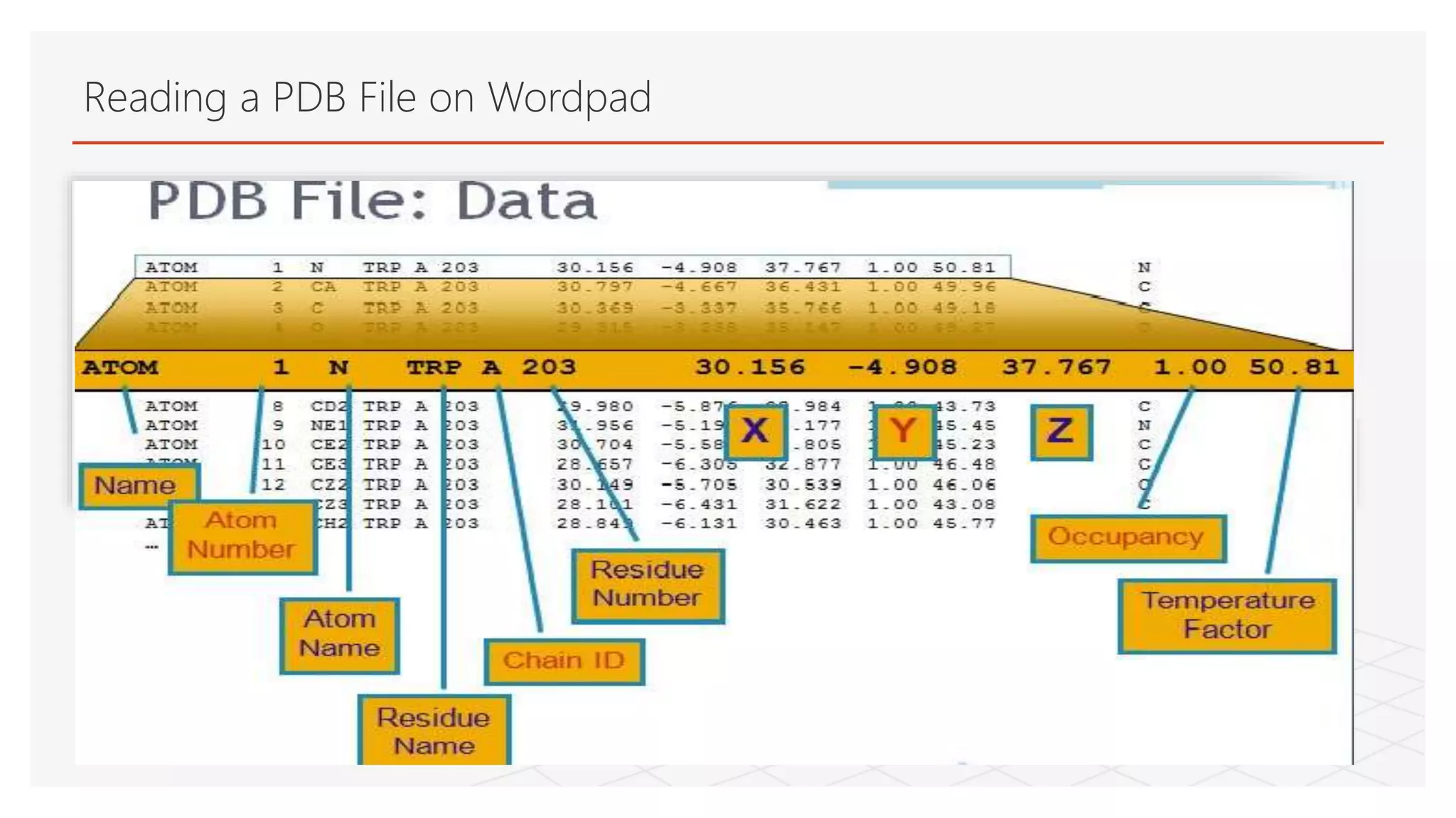 Reading a PDB File on Wordpad
 