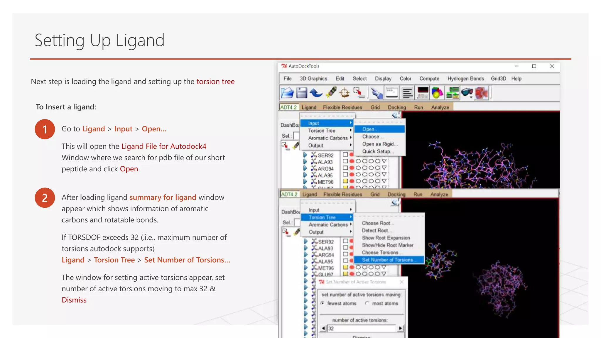 Setting Up Ligand
Next step is loading the ligand and setting up the torsion tree
To Insert a ligand:
1 Go to Ligand > Input > Open…
This will open the Ligand File for Autodock4
Window where we search for pdb file of our short
peptide and click Open.
2 After loading ligand summary for ligand window
appear which shows information of aromatic
carbons and rotatable bonds.
If TORSDOF exceeds 32 (.i.e., maximum number of
torsions autodock supports)
Ligand > Torsion Tree > Set Number of Torsions…
The window for setting active torsions appear, set
number of active torsions moving to max 32 &
Dismiss
 