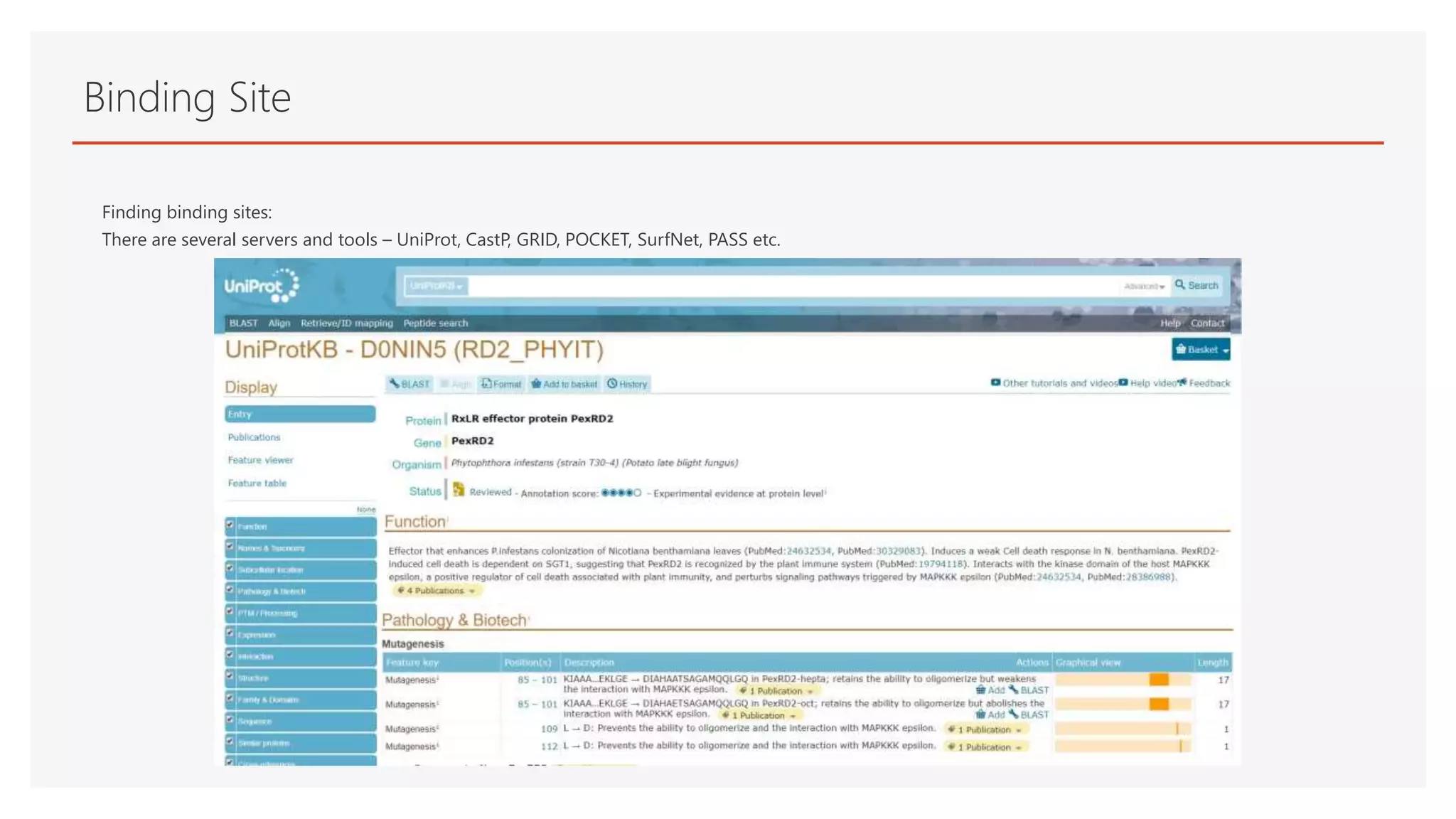 Binding Site
Finding binding sites:
There are several servers and tools – UniProt, CastP, GRID, POCKET, SurfNet, PASS etc.
 