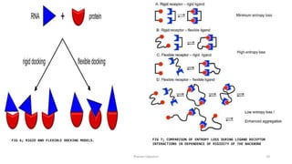 MOLECULAR DOCKING IN DRUG DESIGN AND DEVELOPMENT BY PRANAVI linkedin.pptx
