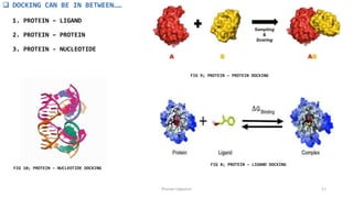 MOLECULAR DOCKING IN DRUG DESIGN AND DEVELOPMENT BY PRANAVI linkedin.pptx