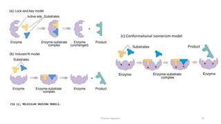 MOLECULAR DOCKING IN DRUG DESIGN AND DEVELOPMENT BY PRANAVI linkedin.pptx