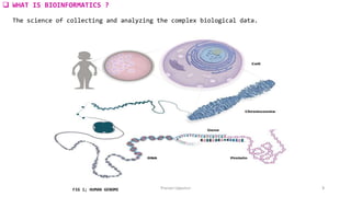 MOLECULAR DOCKING IN DRUG DESIGN AND DEVELOPMENT BY PRANAVI linkedin.pptx