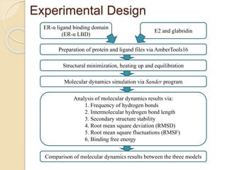 Molecular dynamics simulation of glabridin with estrogen receptor alpha ...