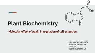 Plant Biochemistry
Molecular effect of Auxin in regulation of cell extension
VANSHIKA VARSHNEY
MSc BIOCHEMISTRY
1ST YEAR
CCS UNIVERSITY, UP
 