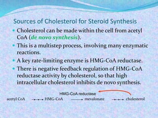 Sources of Cholesterol for Steroid Synthesis
 Cholesterol can be made within the cell from acetyl
CoA (de novo synthesis).
 This is a multistep process, involving many enzymatic
reactions.
 A key rate-limiting enzyme is HMG-CoA reductase.
 There is negative feedback regulation of HMG-CoA
reductase activity by cholesterol, so that high
intracellular cholesterol inhibits de novo synthesis.
acetyl CoA HMG-CoA mevalonate cholesterol
HMG-CoA reductase
 