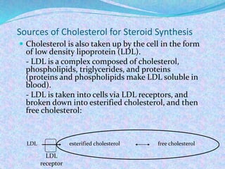 Sources of Cholesterol for Steroid Synthesis
 Cholesterol is also taken up by the cell in the form
of low density lipoprotein (LDL).
- LDL is a complex composed of cholesterol,
phospholipids, triglycerides, and proteins
(proteins and phospholipids make LDL soluble in
blood).
- LDL is taken into cells via LDL receptors, and
broken down into esterified cholesterol, and then
free cholesterol:
LDL
receptor
LDL esterified cholesterol free cholesterol
 