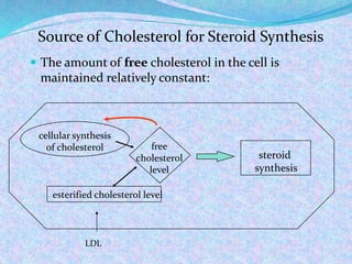  The amount of free cholesterol in the cell is
maintained relatively constant:
Source of Cholesterol for Steroid Synthesis
steroid
synthesis
free
cholesterol
level
esterified cholesterol level
cellular synthesis
of cholesterol
LDL
 