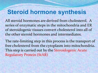 Steroid hormone synthesis
All steroid hormones are derived from cholesterol. A
series of enzymatic steps in the mitochondria and ER
of steroidogenic tissues convert cholesterol into all of
the other steroid hormones and intermediates.
The rate-limiting step in this process is the transport of
free cholesterol from the cytoplasm into mitochondria.
This step is carried out by the Steroidogenic Acute
Regulatory Protein (StAR)
 