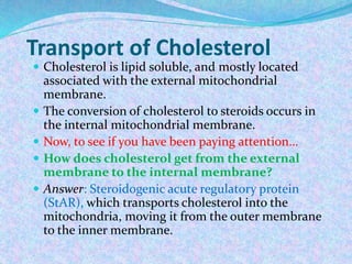 Transport of Cholesterol
 Cholesterol is lipid soluble, and mostly located
associated with the external mitochondrial
membrane.
 The conversion of cholesterol to steroids occurs in
the internal mitochondrial membrane.
 Now, to see if you have been paying attention…
 How does cholesterol get from the external
membrane to the internal membrane?
 Answer: Steroidogenic acute regulatory protein
(StAR), which transports cholesterol into the
mitochondria, moving it from the outer membrane
to the inner membrane.
 