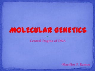 Central Dogma of DNA




                 -Marif lor P. Ramos
 