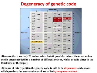 Degeneracy of genetic code
•Because there are only 20 amino acids, but 64 possible codons, the same amino
acid is often encoded by a number of different codons, which usually differ in the
third base of the triplet.
•Because of this repetition the genetic code is said to be degenerate and codons
which produce the same amino acid are called synonymous codons.
 