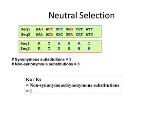 Neutral Selection
Ka / Ks
= Non-synonymous/Synonymous substitutions
= 1
# Synonymous substitutions = 3
# Non-synonymous substitutions = 3
Seq1
Seq2
AAG
AAA
ACT
ACA
GCC
GAC
GGG
GGA
CGT
CAT
ATT
ATG
Seq1 K T A G R I
Seq2 K T D G H M
 