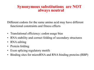 Synonymous substitutions are NOT
always neutral
Different codons for the same amino acid may have different
functional constraints and fitness effects
• Translational efficiency: codon usage bias
• RNA stability and correct folding of secondary structures
• RNA editing
• Protein folding
• Exon splicing regulatory motifs
• Binding sites for microRNA and RNA binding proteins (RBP)
 