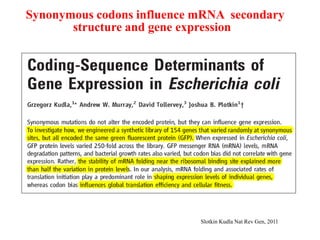 Slotkin Kudla Nat Rev Gen, 2011
Synonymous codons influence mRNA secondary
structure and gene expression
 