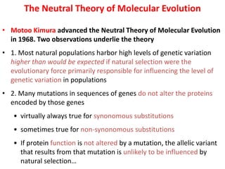 The Neutral Theory of Molecular Evolution
• Motoo Kimura advanced the Neutral Theory of Molecular Evolution
in 1968. Two observations underlie the theory
• 1. Most natural populations harbor high levels of genetic variation
higher than would be expected if natural selection were the
evolutionary force primarily responsible for influencing the level of
genetic variation in populations
• 2. Many mutations in sequences of genes do not alter the proteins
encoded by those genes
• virtually always true for synonomous substitutions
• sometimes true for non-synonomous substitutions
• If protein function is not altered by a mutation, the allelic variant
that results from that mutation is unlikely to be influenced by
natural selection…
 