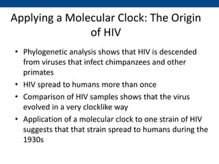 Applying a Molecular Clock: The Origin
of HIV
• Phylogenetic analysis shows that HIV is descended
from viruses that infect chimpanzees and other
primates
• HIV spread to humans more than once
• Comparison of HIV samples shows that the virus
evolved in a very clocklike way
• Application of a molecular clock to one strain of HIV
suggests that that strain spread to humans during the
1930s
 