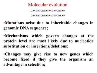 Molecular evolution
GACGACCATAGACCAGCATAG
GACTACCATAGA-CTGCAAAG
•Mutations arise due to inheritable changes in
genomic DNA sequence;
•Mechanisms which govern changes at the
protein level are most likely due to nucleotide
substitution or insertions/deletions;
•Changes may give rise to new genes which
become fixed if they give the organism an
advantage in selection;
 