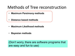 Methods of Tree reconstruction
• Maximum Parsimony methods
• Distance based methods
• Maximum Likelihood methods
• Bayesian methods
(Don’t worry, there are software programs that
are easy and fun to use)
 