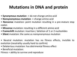 Mutations in DNA and protein
• Synonymous mutation -> do not change amino acid
• Nonsynonymous mutation -> change amino acid
• Nonsense mutation: point mutation resulting in a pre-mature stop
codon
• Missense mutation: resulting in a different amino acid
• Frameshift mutation: insertion / deletion of 1 or 2 nucleotides
• Silent mutation: the same as nonsynonymous mutation
• Neutral mutation: mutation has no fitness effects, invisible to
evolution (neutrality usually hard to confirm)
• Deleterious mutation: has detrimental fitness effect
• Beneficial mutation:
Fitness = ability to survive and reproduce
 