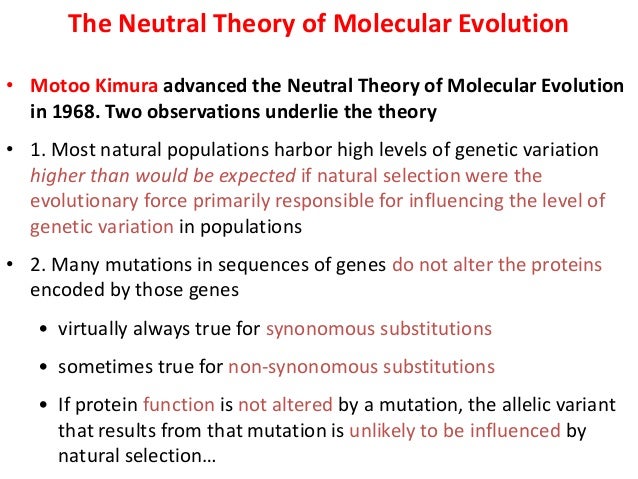 molecular evolution