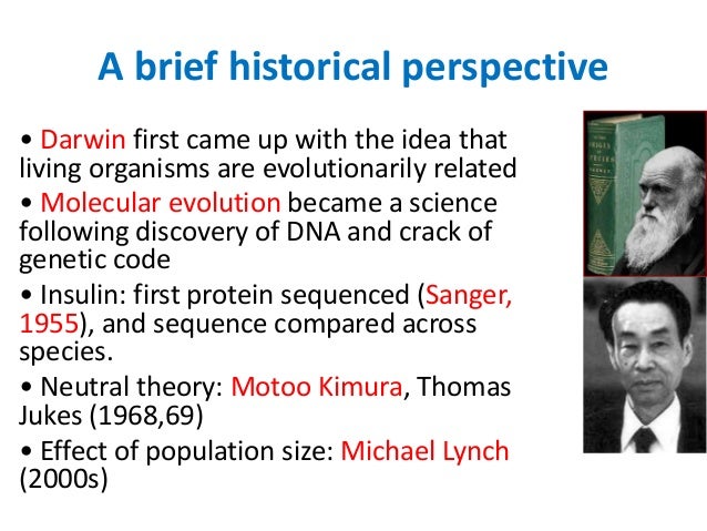 molecular evolution
