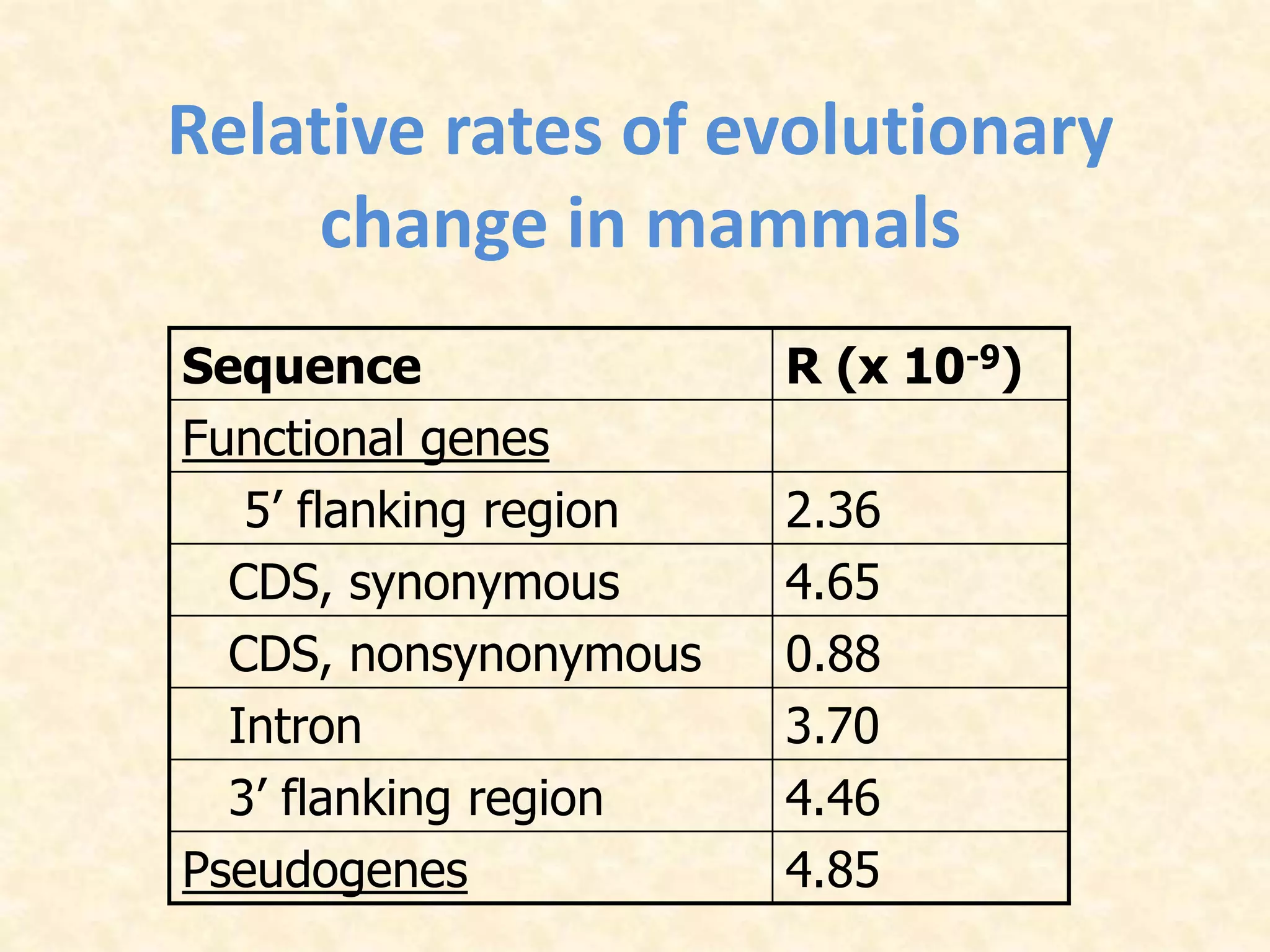 Relative rates of evolutionary
change in mammals
Sequence R (x 10-9)
Functional genes
5’ flanking region 2.36
CDS, synonymous 4.65
CDS, nonsynonymous 0.88
Intron 3.70
3’ flanking region 4.46
Pseudogenes 4.85
 