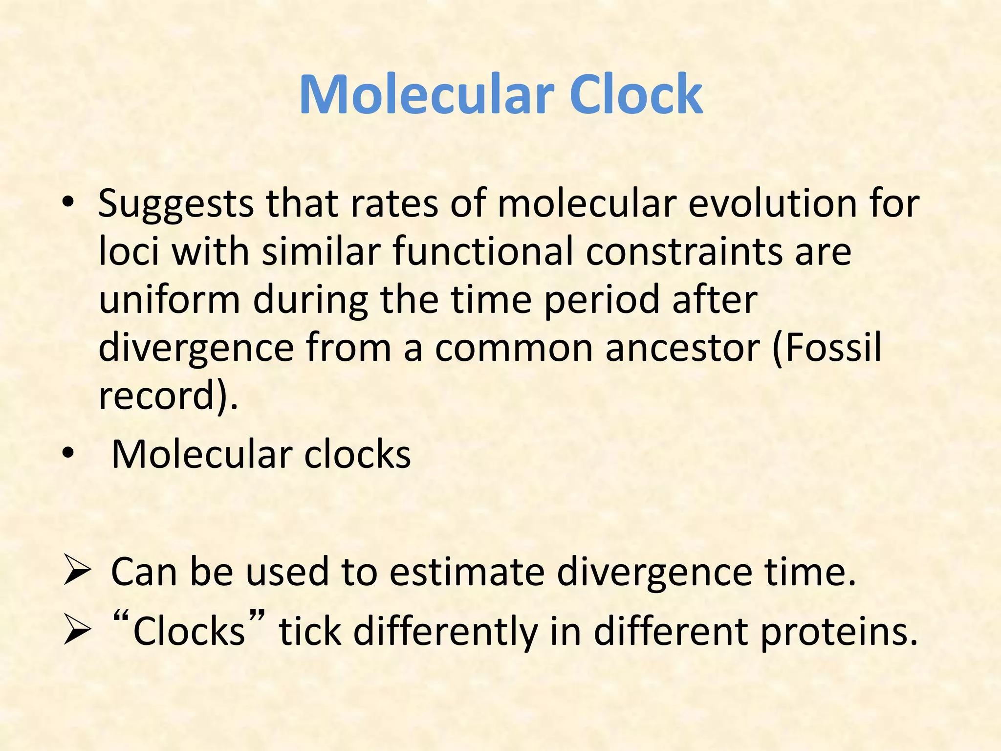 Molecular Clock
• Suggests that rates of molecular evolution for
loci with similar functional constraints are
uniform during the time period after
divergence from a common ancestor (Fossil
record).
• Molecular clocks
 Can be used to estimate divergence time.
 “Clocks” tick differently in different proteins.
 