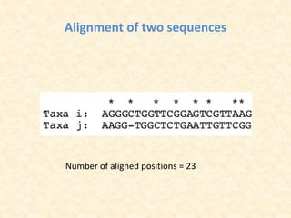 Alignment of two sequences
Number of aligned positions = 23
 
