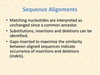Sequence Alignments
• Matching nucleotides are interpreted as
unchanged since a common ancestor.
• Substitutions, insertions and deletions can be
identified.
• Gaps inserted to maximize the similarity
between aligned sequences indicate
occurrence of insertions and deletions
(indels).
 