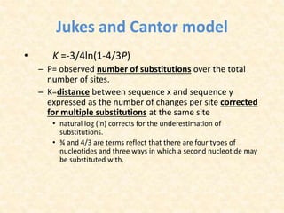 Jukes and Cantor model
• K =-3/4ln(1-4/3P)
– P= observed number of substitutions over the total
number of sites.
– K=distance between sequence x and sequence y
expressed as the number of changes per site corrected
for multiple substitutions at the same site
• natural log (ln) corrects for the underestimation of
substitutions.
• ¾ and 4/3 are terms reflect that there are four types of
nucleotides and three ways in which a second nucleotide may
be substituted with.
 