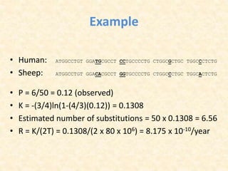 Example
• Human: ATGGCCTGT GGATGCGCCT CCTGCCCCTG CTGGCGCTGC TGGCCCTCTG
• Sheep: ATGGCCTGT GGACACGCCT GGTGCCCCTG CTGGCCCTGC TGGCACTCTG
• P = 6/50 = 0.12 (observed)
• K = -(3/4)ln(1-(4/3)(0.12)) = 0.1308
• Estimated number of substitutions = 50 x 0.1308 = 6.56
• R = K/(2T) = 0.1308/(2 x 80 x 106) = 8.175 x 10-10/year
 