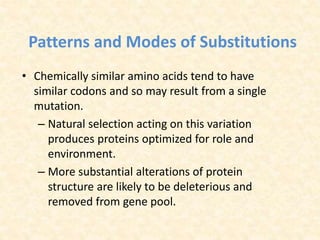 Patterns and Modes of Substitutions
• Chemically similar amino acids tend to have
similar codons and so may result from a single
mutation.
– Natural selection acting on this variation
produces proteins optimized for role and
environment.
– More substantial alterations of protein
structure are likely to be deleterious and
removed from gene pool.
 