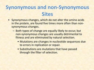 Synonymous and non-Synonymous
Sites
• Synonymous changes, which do not alter the amino acids
in the protein, are found five times more often than non-
synonymous changes.
– Both types of change are equally likely to occur, but
non-synonymous changes are usually detrimental to
fitness and are eliminated by natural selection.
• Mutations are changes in nucleotide sequences due
to errors in replication or repair.
• Substitutions are mutations that have passed
through the filter of selection.
 