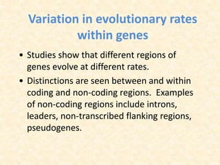 Variation in evolutionary rates
within genes
• Studies show that different regions of
genes evolve at different rates.
• Distinctions are seen between and within
coding and non-coding regions. Examples
of non-coding regions include introns,
leaders, non-transcribed flanking regions,
pseudogenes.
 
