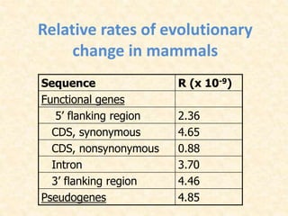 Relative rates of evolutionary
change in mammals
Sequence R (x 10-9)
Functional genes
5’ flanking region 2.36
CDS, synonymous 4.65
CDS, nonsynonymous 0.88
Intron 3.70
3’ flanking region 4.46
Pseudogenes 4.85
 