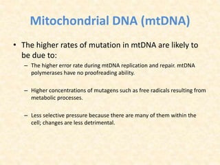 Mitochondrial DNA (mtDNA)
• The higher rates of mutation in mtDNA are likely to
be due to:
– The higher error rate during mtDNA replication and repair. mtDNA
polymerases have no proofreading ability.
– Higher concentrations of mutagens such as free radicals resulting from
metabolic processes.
– Less selective pressure because there are many of them within the
cell; changes are less detrimental.
 