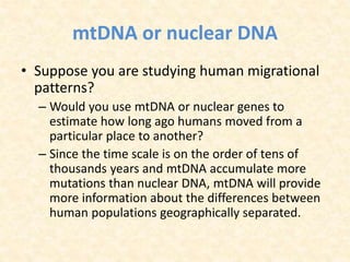 mtDNA or nuclear DNA
• Suppose you are studying human migrational
patterns?
– Would you use mtDNA or nuclear genes to
estimate how long ago humans moved from a
particular place to another?
– Since the time scale is on the order of tens of
thousands years and mtDNA accumulate more
mutations than nuclear DNA, mtDNA will provide
more information about the differences between
human populations geographically separated.
 