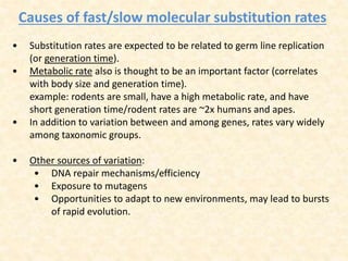 Causes of fast/slow molecular substitution rates
• Substitution rates are expected to be related to germ line replication
(or generation time).
• Metabolic rate also is thought to be an important factor (correlates
with body size and generation time).
example: rodents are small, have a high metabolic rate, and have
short generation time/rodent rates are ~2x humans and apes.
• In addition to variation between and among genes, rates vary widely
among taxonomic groups.
• Other sources of variation:
• DNA repair mechanisms/efficiency
• Exposure to mutagens
• Opportunities to adapt to new environments, may lead to bursts
of rapid evolution.
 