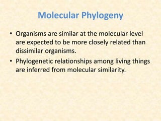 Molecular Phylogeny
• Organisms are similar at the molecular level
are expected to be more closely related than
dissimilar organisms.
• Phylogenetic relationships among living things
are inferred from molecular similarity.
 