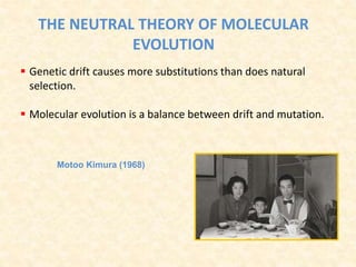 THE NEUTRAL THEORY OF MOLECULAR
EVOLUTION
 Genetic drift causes more substitutions than does natural
selection.
 Molecular evolution is a balance between drift and mutation.
Motoo Kimura (1968)
 