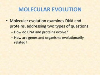 MOLECULAR EVOLUTION
• Molecular evolution examines DNA and
proteins, addressing two types of questions:
– How do DNA and proteins evolve?
– How are genes and organisms evolutionarily
related?
 