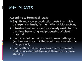 WHY PLANTS
According to Horn et al., 2004
 Significantly lower production costs than with
transgenic animals, fermentation or bioreactors;
 Infrastructure and expertise already exists for the
planting, harvesting and processing of plant
material;
 Plants do not contain known human pathogens
(such as virions, etc.)That could contaminate the
final product;
 Plant cells can direct proteins to environments
that reduce degradation and therefore increase
stability.
 