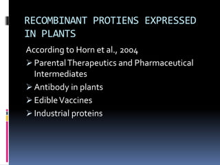 RECOMBINANT PROTIENS EXPRESSED
IN PLANTS
According to Horn et al., 2004
 ParentalTherapeutics and Pharmaceutical
Intermediates
 Antibody in plants
 EdibleVaccines
 Industrial proteins
 