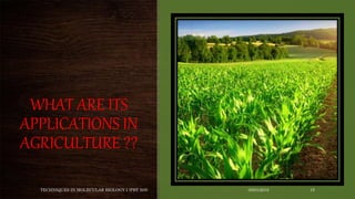 WHAT ARE ITS
APPLICATIONS IN
AGRICULTURE ??
03/01/2018TECHNIQUES IN MOLECULAR BIOLOGY I (PBT 505) 15
 