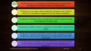 Production and use of bioplastics and Biopolymers in post harvest
packaging of horticultural crops for long transport.
Production of secondary plant metabolites (Jasmonic acid, salicylic
acid etc) in the plants at triggered levels for disease resistance.
Production of biofuels and over production of starch content in maize
for production of sugar syrup.
Production of edible vaccines or extraction of non-edible vaccines from
plants.
Production of enzymes and other proteins in the crop plants for there
clinical use, which can be alternative use of agricultural crops other
than food.
over production of vitamins which are deficient in crop plants can be
used to reduce the deficiency of vitamins in the target groups of
population.
TECHNIQUES IN MOLECULAR BIOLOGY I (PBT 505) 03/01/2018 16
 