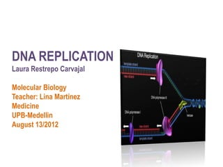 DNA REPLICATION
Laura Restrepo Carvajal

Molecular Biology
Teacher: Lina Martínez
Medicine
UPB-Medellin
August 13/2012
 