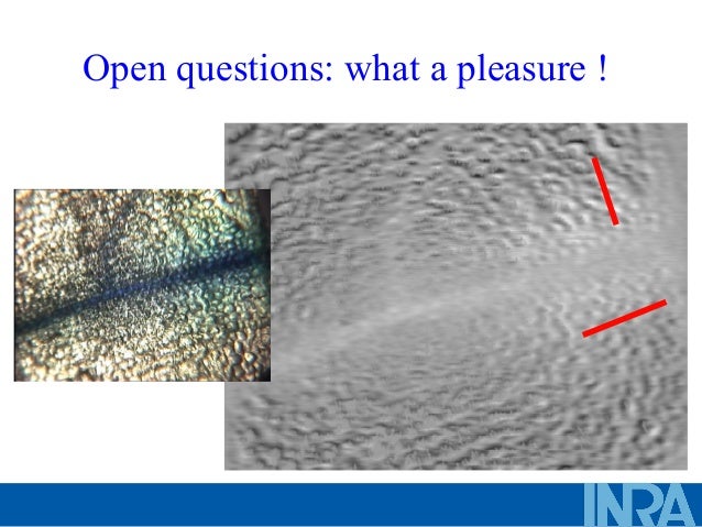 molecular gastronomy herve this pdf